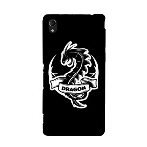 DRAGON Casing HP