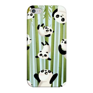 CASE 042 Casing HP