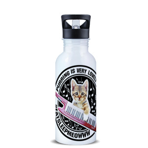 Botol Anak Kucing Bermain Music