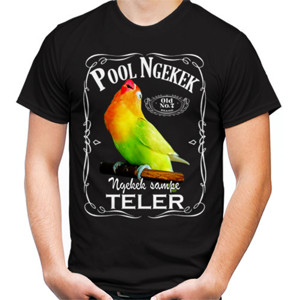 Kaos Lovebird