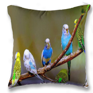 Bantal Sarung Bantal Sofa Parkit