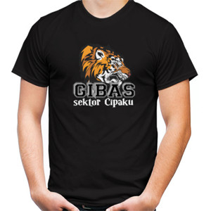 Kaos gibas