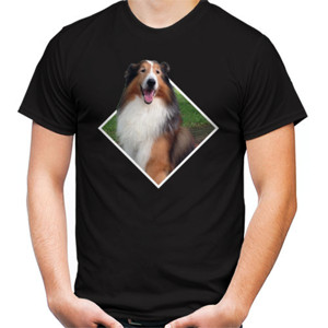 Kaos Shifu Nov