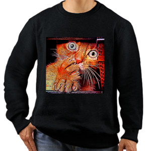 Jaket Sweater Shock Cat