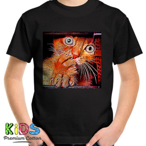 Kaos Shock Cat