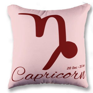 Bantal Karakter capricorn