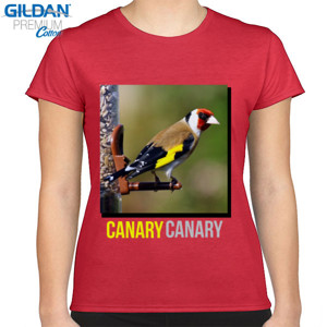 Kaos CANARY CANARY