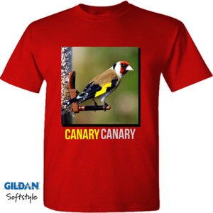 Kaos CANARY CANARY