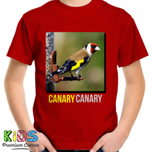Kaos CANARY CANARY