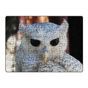 Puzzle  White Owl