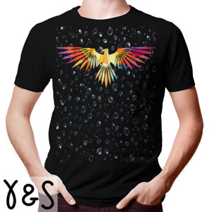 Kaos burung