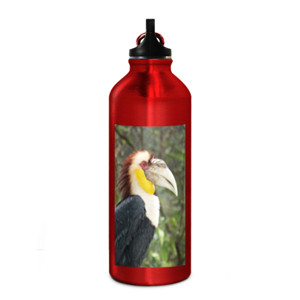 Botol HORNBILL 