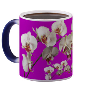 Mug Bunglon MUG MAGIC BUNGA