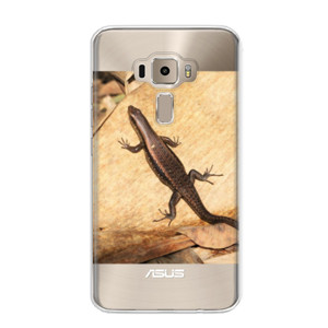 Lizard Casing HP