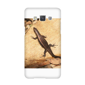 Lizard Casing HP