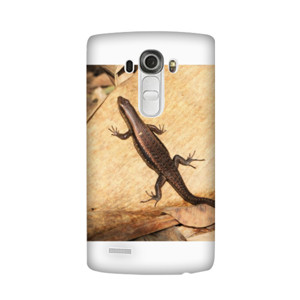 Lizard Casing HP