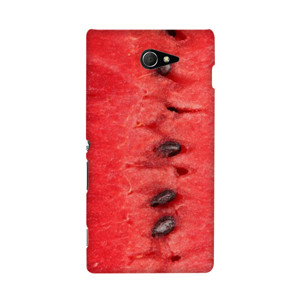 Fresh Watermelon  Casing HP