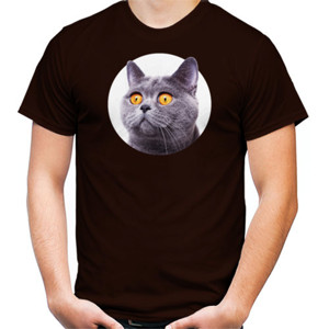 Kaos Yellow Eyes Cat