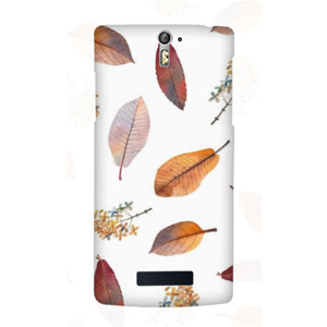 Leaves Casing HP