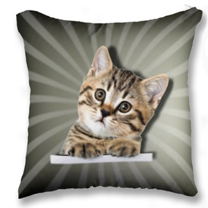 Bantal BANTAL SOFA KUCING LUCU CAT LOVER 06