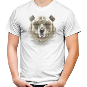 Kaos Bear Art
