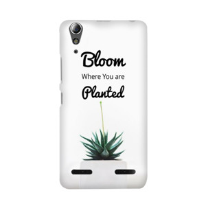 Quote Bloom Where You Are Planted Casing HP