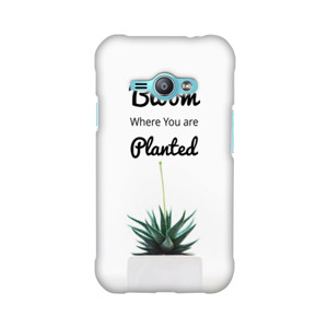 Quote Bloom Where You Are Planted Casing HP