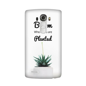 Quote Bloom Where You Are Planted Casing HP
