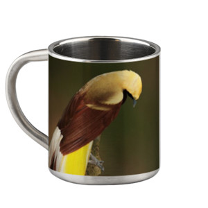 Mug Stainless Lesser Bird of Paradise