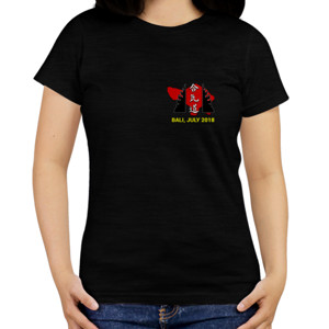 Kaos Aikido Seminar Seki