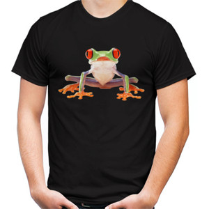 Kaos Kodok