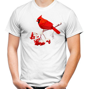 Kaos Bird Artworks 15
