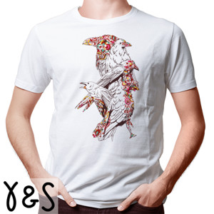 Kaos Birds Art