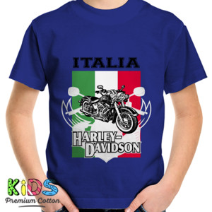 Kaos MODERATE BRANCH