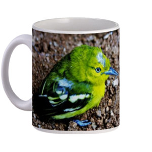Mug Anak Burung
