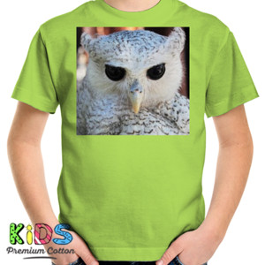 Kaos White Owl