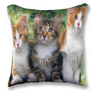 Bantal THREE PUSSY