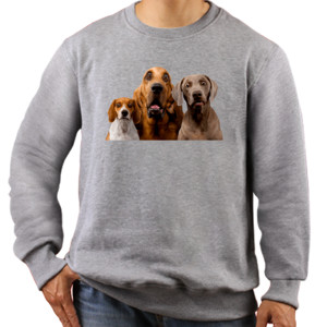 Jaket Sweater Apaan tuh