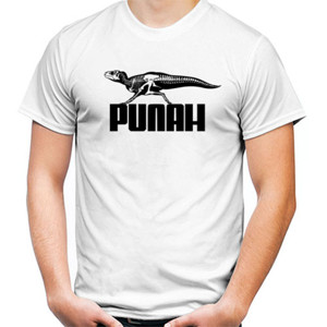 Kaos PUNAH