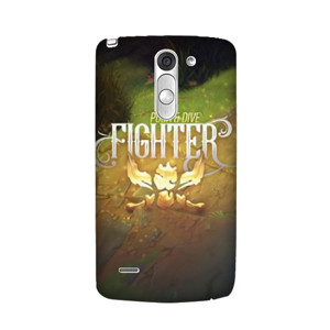 LeagueOfLegends Fighter Casing HP