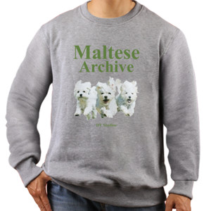 Jaket Sweater Maltese Cute Dogs T-Shirt