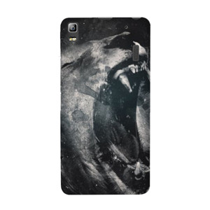 Lion - A03081049 Casing HP