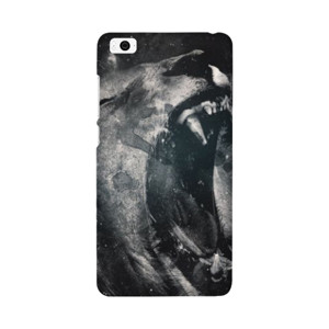 Lion - A03081049 Casing HP