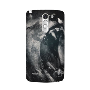 Lion - A03081049 Casing HP
