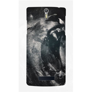 Lion - A03081049 Casing HP