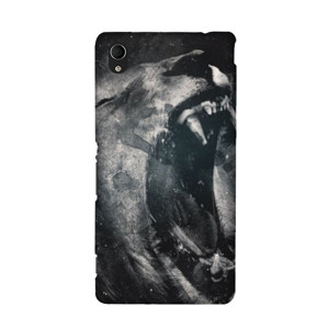 Lion - A03081049 Casing HP