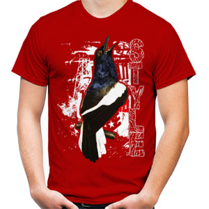Kaos Burung Kacer