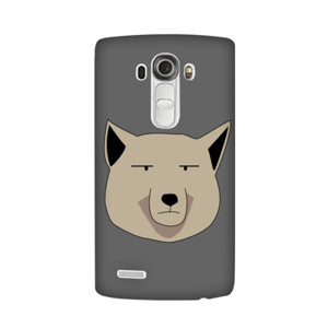 casing HP fox Casing HP