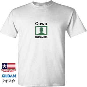 Kaos Kaos Cowo Introvert