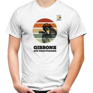 Kaos Gibbons are Disappearing